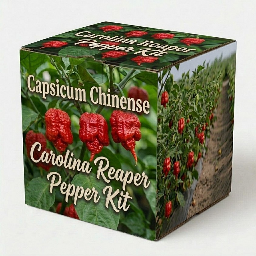 Carolina Reaper Pepper Kit packaging box showing ripe red hot peppers growing on green plants.