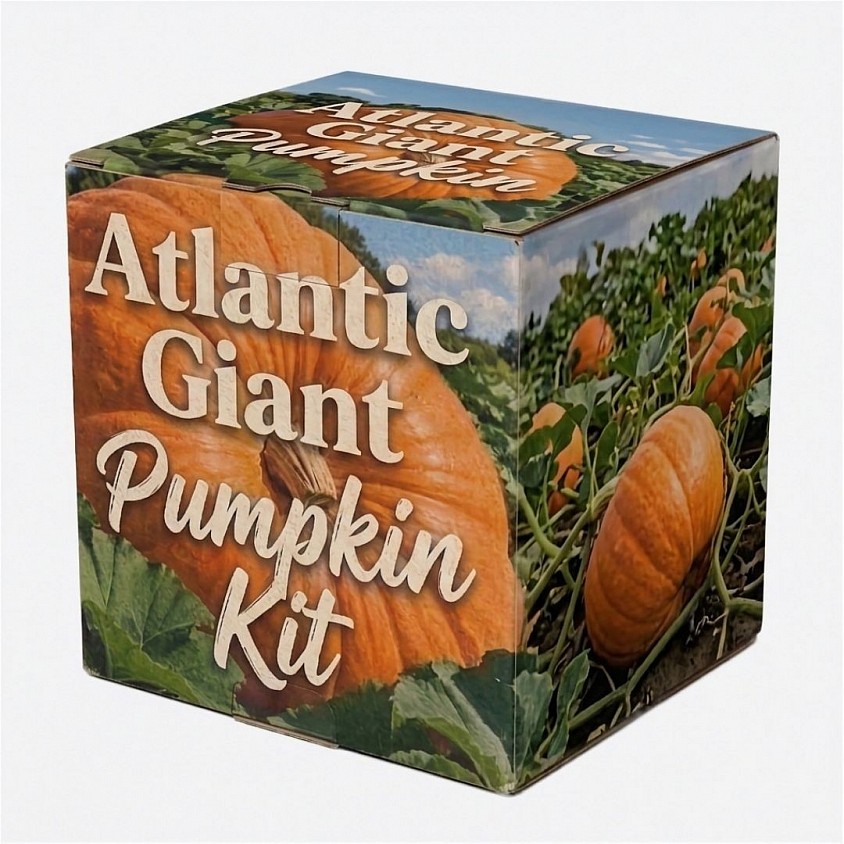 Atlantic Giant Pumpkin Kit packaging box featuring large orange pumpkins growing in a field.
