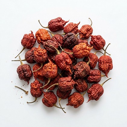 Dried Carolina Reaper Peppers.