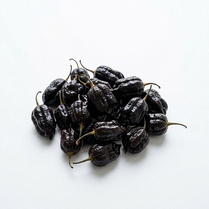 Black Bhut Jolokia Chilli Peppers.