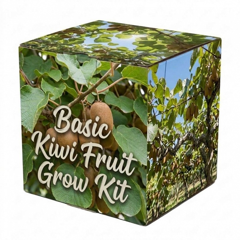 Basic Kiwi Fruit Grow Kit Box.